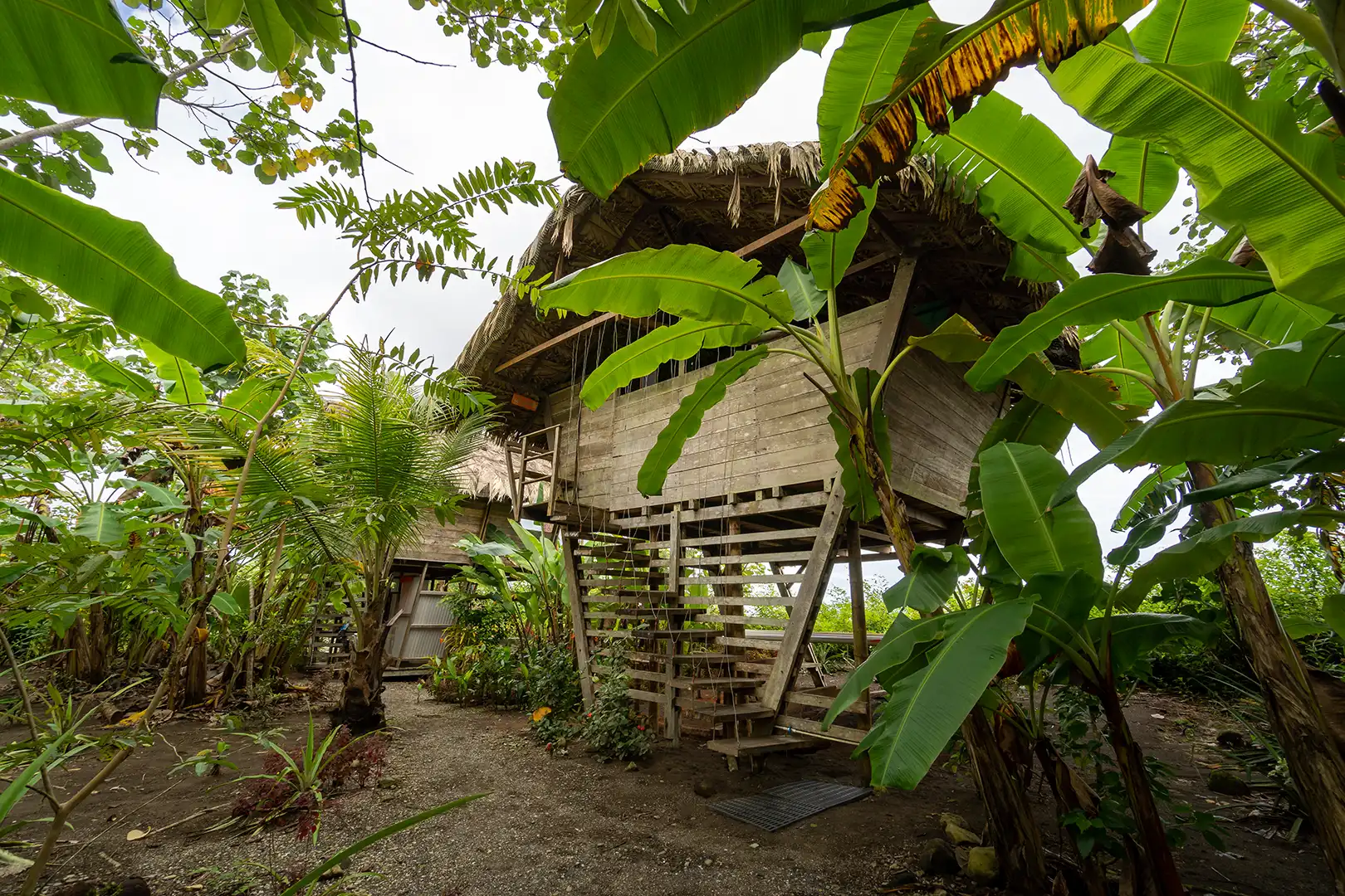 Cabaña en pacifico colombiano de madera rodeada de vegetación